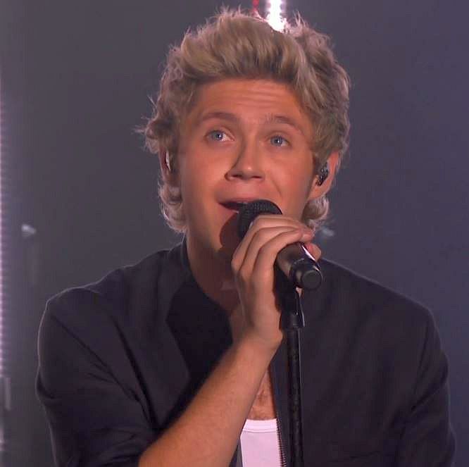 NIal of One Direction