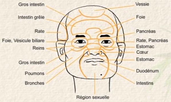 zones r&eacute;flexes du visage