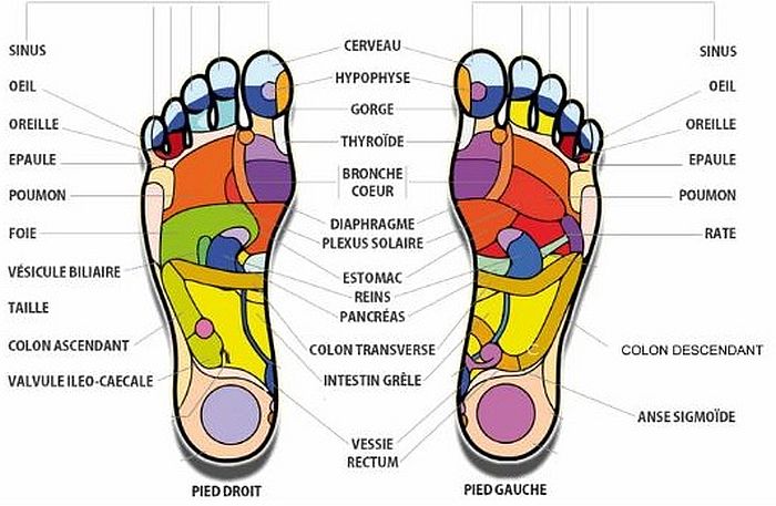zones r&eacute;flexes des pieds